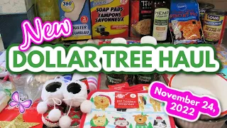 New DOLLAR TREE HAUL!  November 24, 2022 #LeighsHome