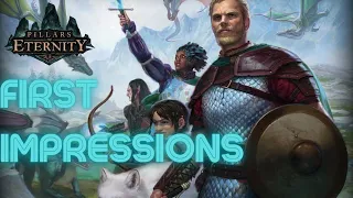 Pillars of Eternity - My Impressions After 40+ Hours