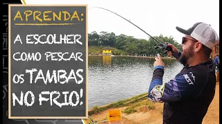 APRENDA A ESCOLHER COMO PESCAR OS TAMBAS NO FRIO!