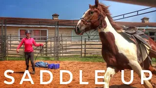 First Time Under Saddle | 2019 Mustang TIP Challenge