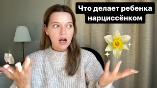 Как (не) вырастить нарцисса