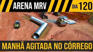 ARENA MRV 4K MOVIMENTAÇÕES NO CÓRREGO - DIA 120 EP59