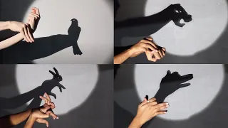 Guess the hand shadow animal III hand shadow puppets show.