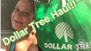 Large Dollar Tree Haul 🛍️ 1/30/23