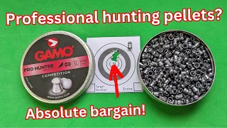 The best budget pellet? Accuracy testing the GAMO PRO HUNTER impact competition