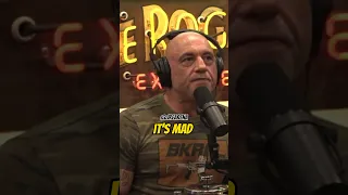 Joe Rogan reveals why he left California & rising crime rates #shorts