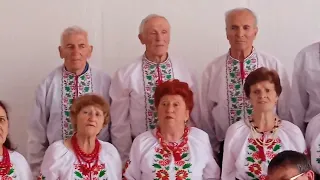 Біля калини