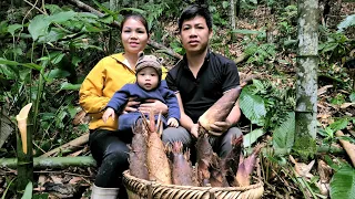 Harvest bamboo shoots - vegetables to bring to market Sell & take care of pets | Hà Tòn Chài