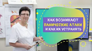 КАК ВОЗНИКАЮТ, ПАНИЧЕСКИЕ АТАКИ И КАК ИХ УСТРАНЯТЬ.