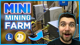 Expanding my Dogecoin Mining Farm! DOGE Miner Profits Review