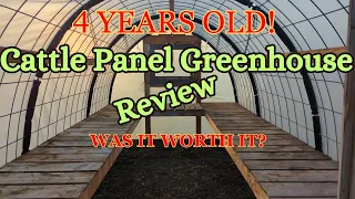 Cattle Panel Greenhouse Review | Four Years Old | Surprising Results