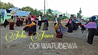 Jeku Jana SDI Watubewa