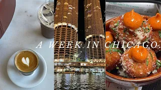 CHICAGO VLOG. eating korean food, cute cafe, summer festivals! 💘