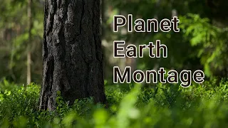 Planet Earth Montage — Ambient Chillout Piano Beat Music "Cosmica" by Nomyn — 4K