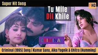 Tum Mile Dil Khile | Full 4K Video | Criminal-1994 | Kumar S | Alka Y | Chitra | Nagarjuna | Manisha