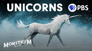 Unicorns: Magical Icons or Violent Beasts? | Monstrum