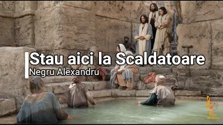 Negru Alexandru   Stau aici la scaldatoare