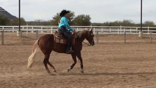 2016 Zones Varsity Reining Individual