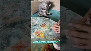 ДЕЛО, КОТОРОЕ ПОПРЁТ 🚀| Таро онлайн расклад ❤️‍🔥🙏🏻