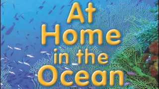 AT HOME IN THE OCEAN Journeys AR Read Aloud First Grade Lesson 11