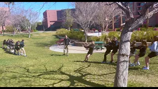 Pulley Tug of War - Turn that force around, the tree pulls WITH you.