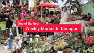 Exploring Dimapur Market 🌺🪴|| Naga’s Flower Market Dimapur || Super Market Dimapur Nagaland