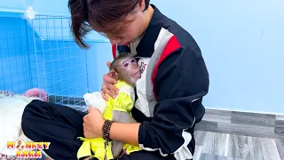 Monkey Kaka felt sad when her mom misunderstood her