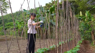 A day working in the mountain garden. Pick eggplants and vegetables from the garden to cook dinner