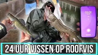 24 UUR VISSEN OP SNOEK, SNOEKBAARS EN BAARS (Poging 1)