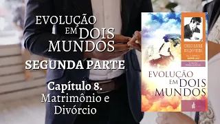 SEGUNDA PARTE - CAPÍTULO 8 - MATRIMÔNIO E DIVÓRCIO - LIVRO EVOLUÇÃO EM DOIS MUNDOS