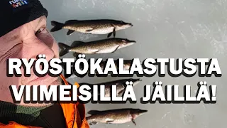 RYÖSTÖKALASTUSTA VIIMEISILLÄ JÄILLÄ!