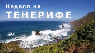 Неделя на Тенерифе