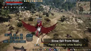 Black Desert Online T10 Pegasus instant fall from float