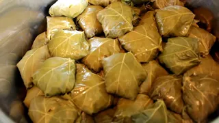 ДОЛМА из свежих листьев винограда✵Азербайджанская Кухня✵Dolma, these are Azerbaijani dishes