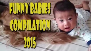 Cute dog and baby compilation - Baby funny compilation 2015