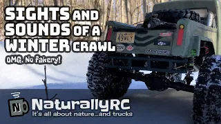 Sights And Sounds Of A Winter Crawl - RC 4X4 Quietly Creeps Atop Deep Forest Snow on Sunny Day