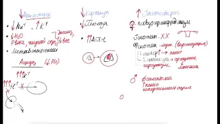 Врожденная гиперплазия коры надпочечников. Клиническая картина и формы.