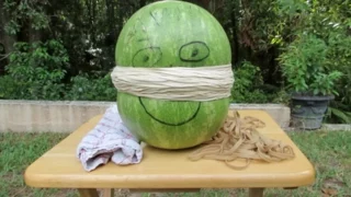 EXTREME EXPLODING WATERMELON WITH RUBBER BANDS