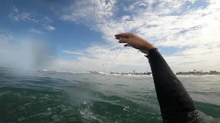 Bodysurfing Newport Beach #2