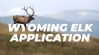Wyoming Elk Application