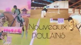 NOUVEAUX POULAINS ! J’AI EU DES BEAUTÉS !  ( EQUESTRIAN THE GAME )