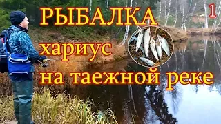 Рыбалка.  Хариус на таежной реке №1