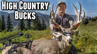 A High Country Adventure | Colorado Archery Mule Deer & Elk 2022