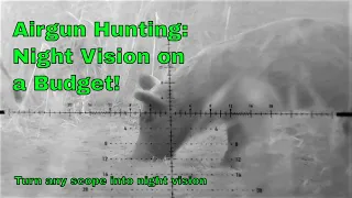 Airgun Hunting: Night Vision on a Budget