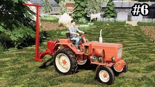 New green trailer. Mowing the meadow. Small Farm. FS 19. Episode 6