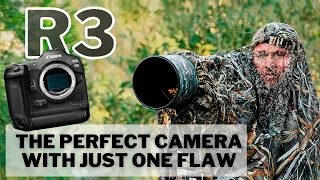 Canon R3 In the Field | The PERFECT Camera with just One Flaw