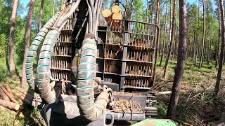 John Deere 1010G Forwarder - Loading pine logs. Very nice forest, some huge logs.