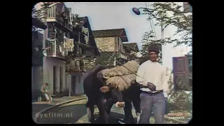 1913 Spain - Street Scenes in San Sebastián - Old videos in color