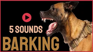 5 Dog Barking Sounds To Make Your Dogs Bark