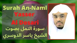 Surah Naml Yasser Al Dosari [Arabic and English Translation]